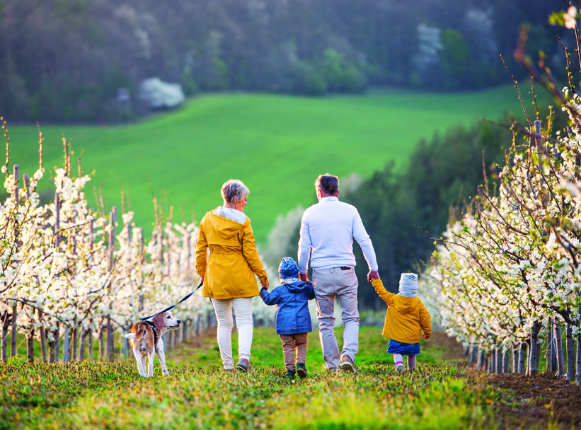 Rodina na lúke/Family in the nature